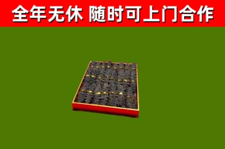 清溪镇回收海参